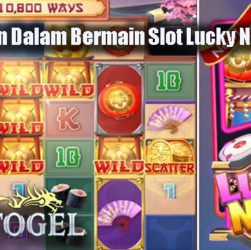 Keuntungan Dalam Bermain Slot Lucky Neko Online